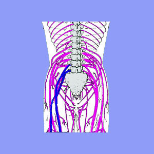 sciatica diagnosis